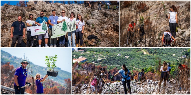 FOTO/VIDEO Pošumljavanje požarišta na Biokovu