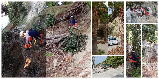 FOTO: MARJAN Sređuje se Kaštelet, alpinisti pilaju suhe grane i stabla