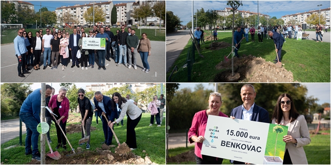 Završena sadnja stabala u Benkovcu u sklopu projekta 'Od izvora do mora'