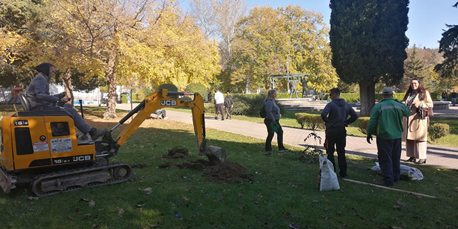 FOTOGALERIJA: U Sinju zasađene sadnice lipe i duda