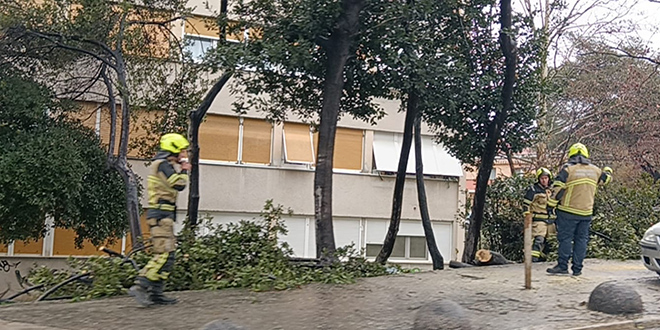 VIDEO Snažan vjetar lomi grane i stabla u Splitu, na terenu su vatrogasci i policija 