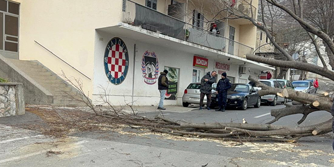 VIDEO Bura srušila stablo u centru Žrnovnice