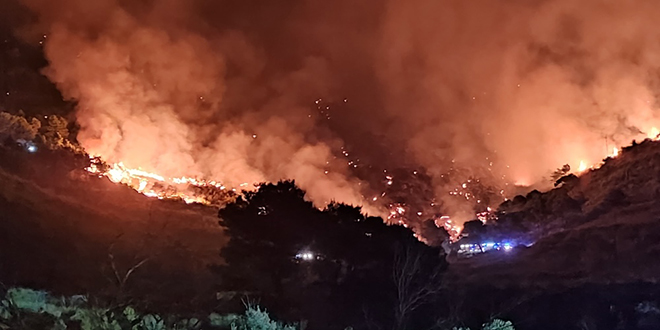 FOTOGALERIJA Vatrogasci u 2024. godini imali više od 35.000 intervencija