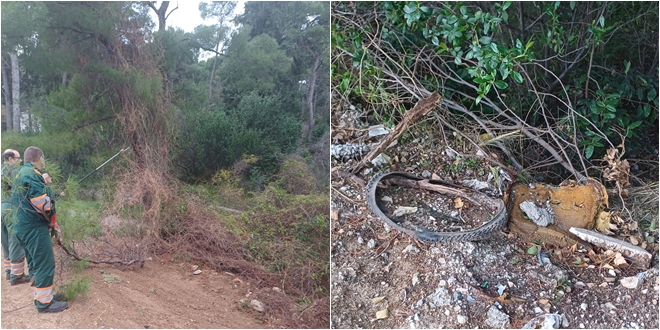 PARK-ŠUMA MARJAN: Očišćeno smeće, posađen drvored pinija