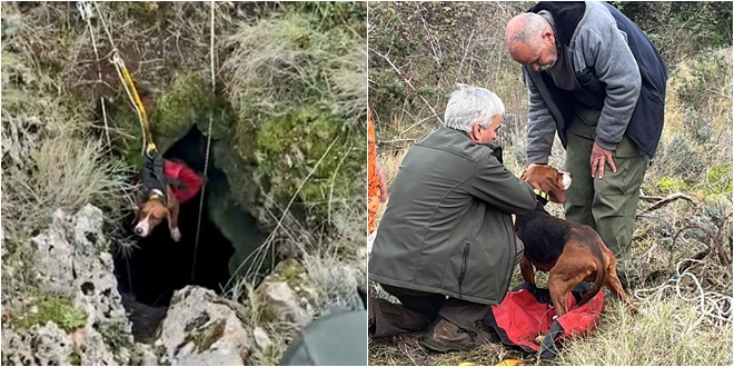 FOTO Hvarski vatrogasci spasili psa Dona iz jame