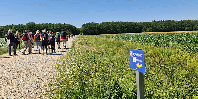 Camino Podravina osvojio Zlatni Suncokret za ruralni turizam