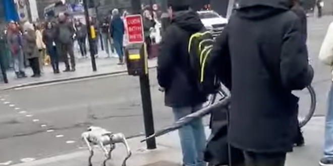 VIDEO: Robot kućni ljubimac na ulicama Londona