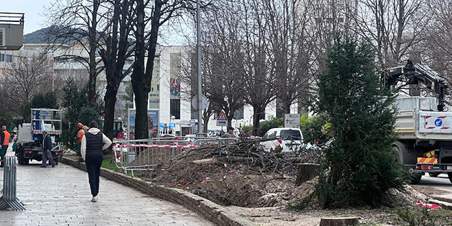 FOTO/VIDEO Nestao je jedan od najljepših splitskih drvoreda. Posječeno je šest velebnih kestena