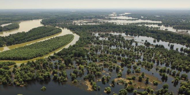 WWF Adria: Glavni partner u borbi protiv klimatskih promjena treba našu pomoć