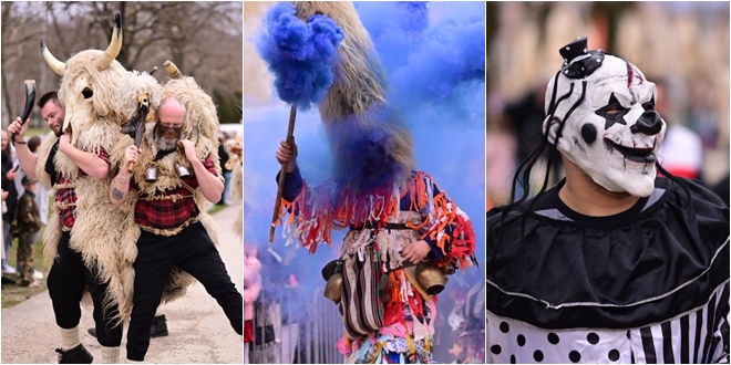 FOTOGALERIJA Pogledajte najbolje trenutke 8. smotre mačkara cetinskoga kraja