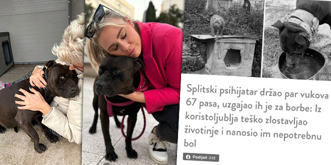 Sve zbog jednog psa