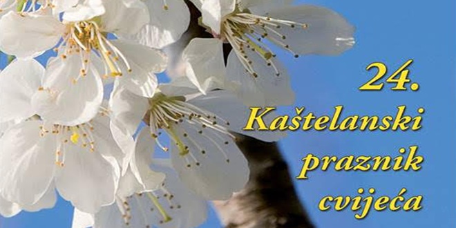 U PETAK Započinje 24. Kaštelanski praznik cvijeća