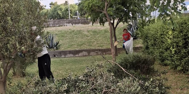 SVAKA ČAST Stanari zgrade Karlovačke ulice uređivali okoliš