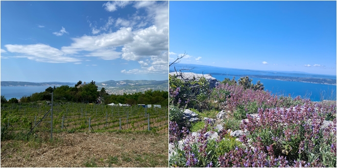 Kaštelanski zaljev pod pritiskom: Ekološka udruga upozorava na alarmantno stanje okoliša