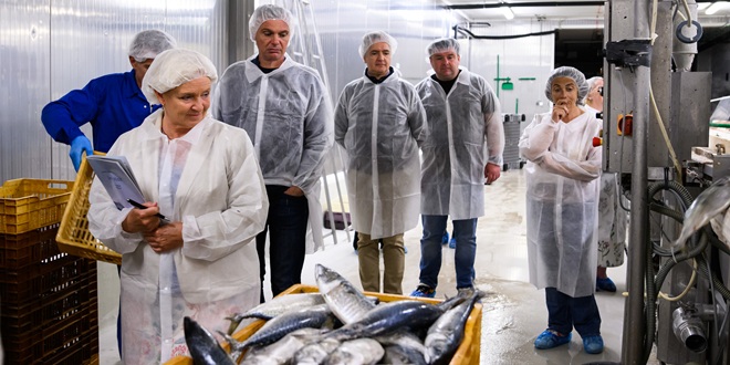 Splitsko-dalmatinska županija pred velikim priznanjem: Korak do titule Europske regije gastronomije 2027.