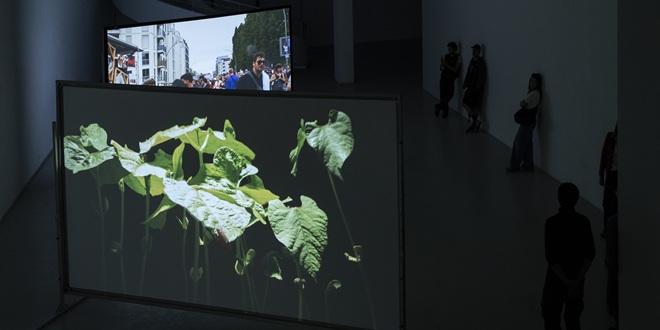 Galerija MKC: Nika Radić 'Ritam'