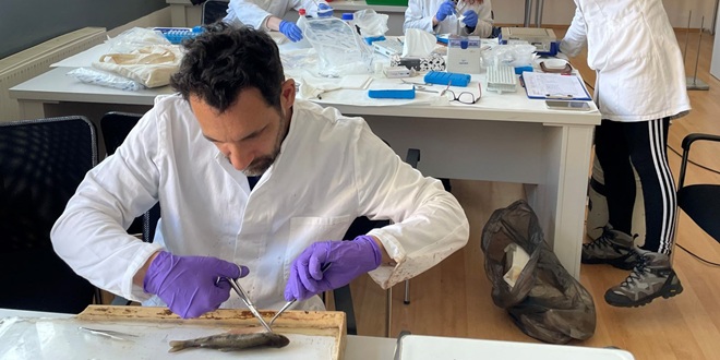 Znanstvenici Instituta Ruđer Bošković u borbi protiv onečišćenja plastikom