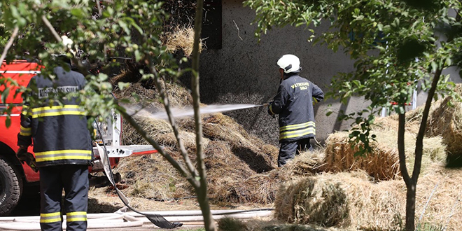 Planula štala na sinjskom hipodromu, spašeno 20 konja