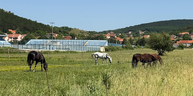 Na sinjskom hipodromu izmjenjuju se tuga i olakšanje: 'Konji su nas dozvali, osjećali smo nemoć jer vidimo vatru i čujemo njištanje'