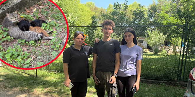 KOJA LJUBAV Nakon požara na sinjskom hipodromu i mačja obitelj na okupu