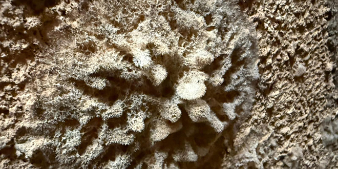 FOTO: Poznati splitski speleolog našao nepoznatu tvorevinu