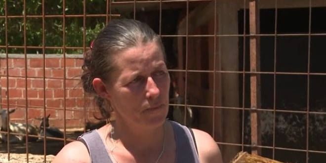 Vukovi napadaju: 'Jučer janje, danas ovca, sutra će biti moje dijete'