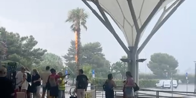 VIDEO Grom udario u palmu ispred Zračne luke, zapalila se