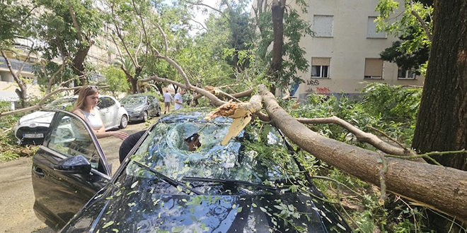 SPINUT TEŠKO POGOĐEN: Granje, srušena stabla, uništena vozila. Stablo se u Matoševoj 'naslonilo' na zgradu