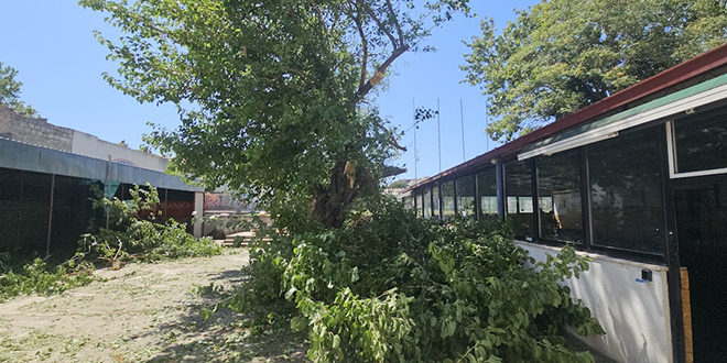 FOTO Nakon oluje: Stradala i Hajdučka murva na Starom placu