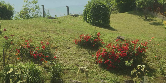 Najzdraviji ljudi su oni koji se njime svakodnevno bave, provjerite koje sve dobrobiti donosi vrtlarenje