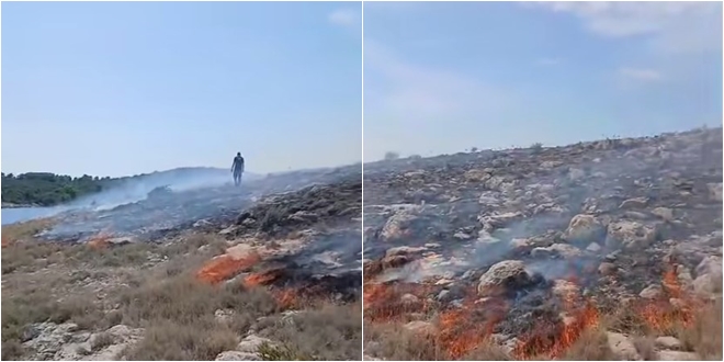 VIDEO Požar na otočiću ispred Vlake