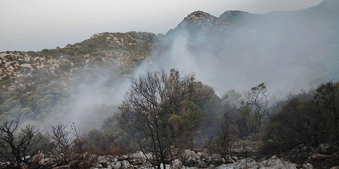 Požar na Mljetu pod nadzorom, novi planuo na Pelješcu