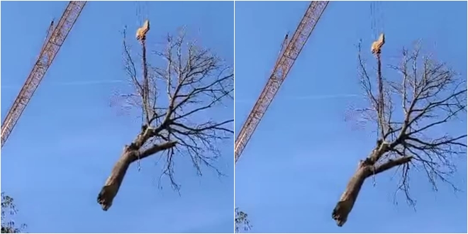 VIDEO Još se uklanjaju polomljene grane po Splitu