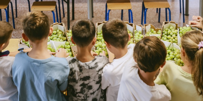 Kaufland 9. godinu zaredom školama donira svježe voće i povrće