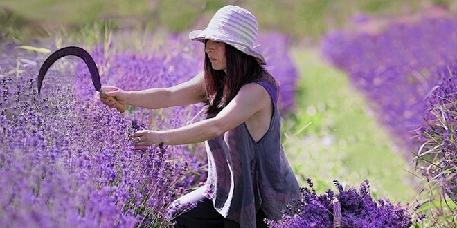 Još 10 dana do kraja RuralFoto nominacija, pogledajte fotografije koje su do sada pristigle na natječaj