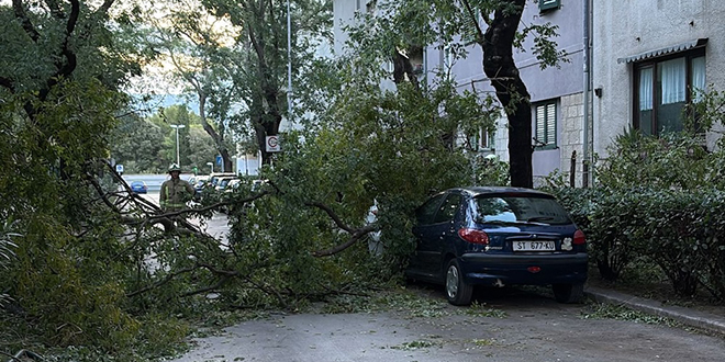 FOTO/VIDEO Bura srušila granu na Spinutu: Oštećeni automobili i motocikl