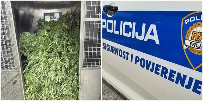 Policija u obiteljskoj kući u Dalmaciji pronašla marihuanu i improviziranu sušionicu