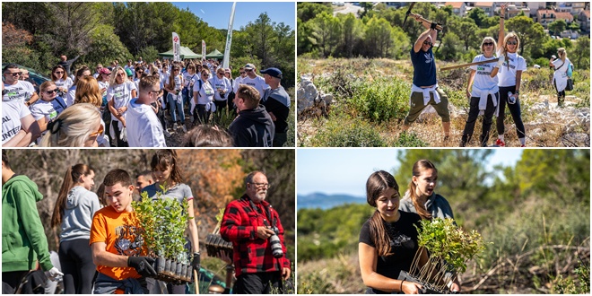 FOTO/VIDEO Čak 350 volontera pošumljavalo požarište u Šibeniku