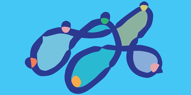 Započela provedba projekta M.I.S. za otok Vis – faza 2