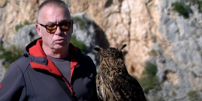 Štetočinama prijetnja, turistima atrakcija: Sova Hugo novi je čuvar Modrog jezera i turistička zvijezda Imotskog