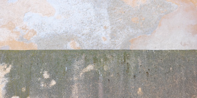 GALERIJA STUDIO - 21: Izložba 'Drom' Darka Škrobonje