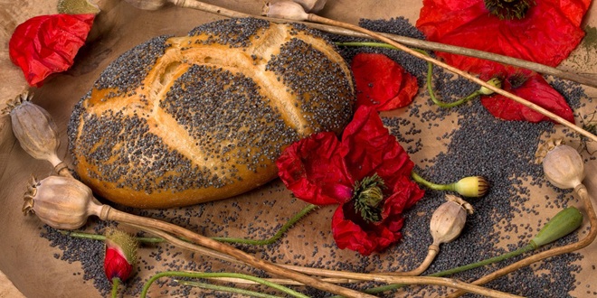 OPREZ! S polica se povlači mak: Otkrivena povišena razina morfija