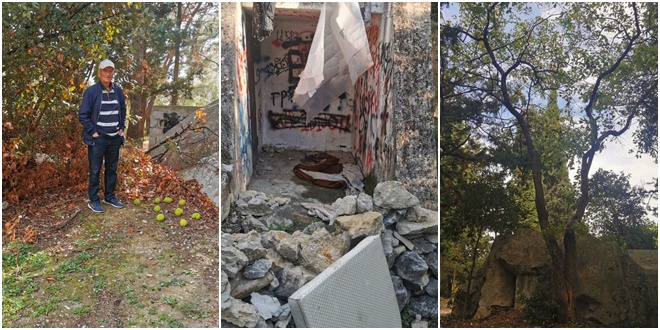 Potencijalna opasnost na Turskoj kuli: 'Teški, tvrdi plodovi čekaju prvu žrtvu'