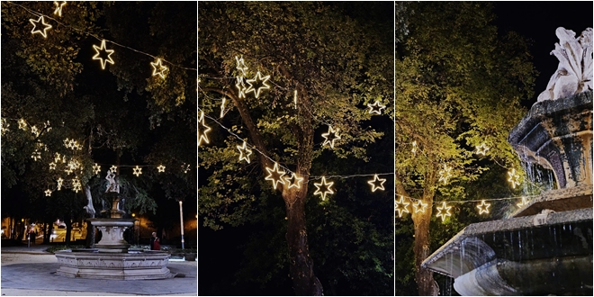 ZASJAT ĆE ĐARDIN Božićni ukrasi u parku, zvjezdane krošnje nad stablima