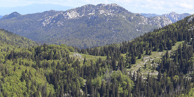 Divljina Velebita u Kninu: Izložba koja otkriva najvrjednije bogatstvo hrvatskih planina