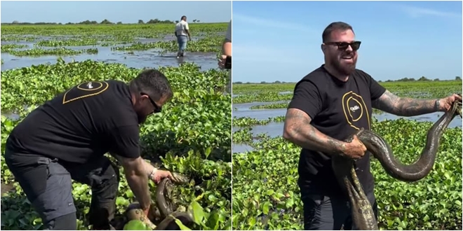 Kristijan Iličić: WWF Adria uklonio je sve objave o 'prekidu suradnje'