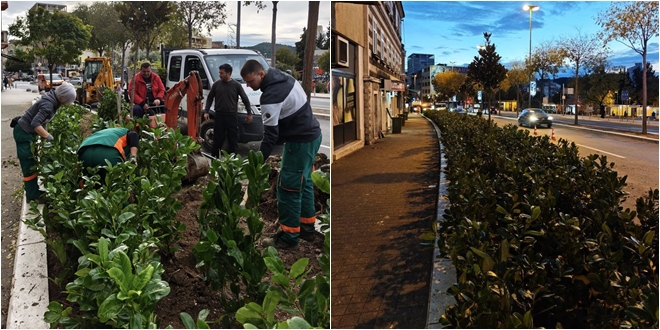 PARKOVI I NASADI 'Brza gradska žila dobila malo smirenja, malo lipote, malo zelenog'