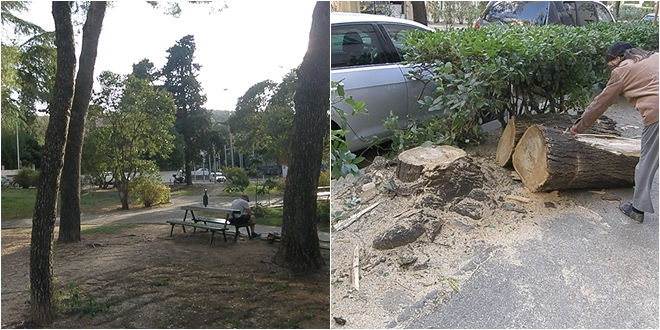 Zeleni Dalmacije upozoravaju: 'Klimatske promjene postaju sve opasnije'