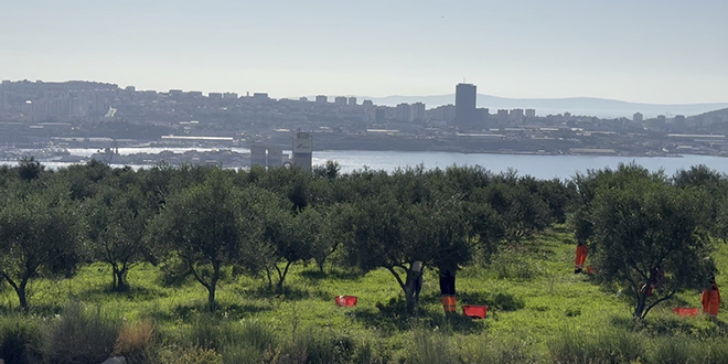 Poljoprivredno-braniteljska zadruga Lintar završila ovogodišnju berbu