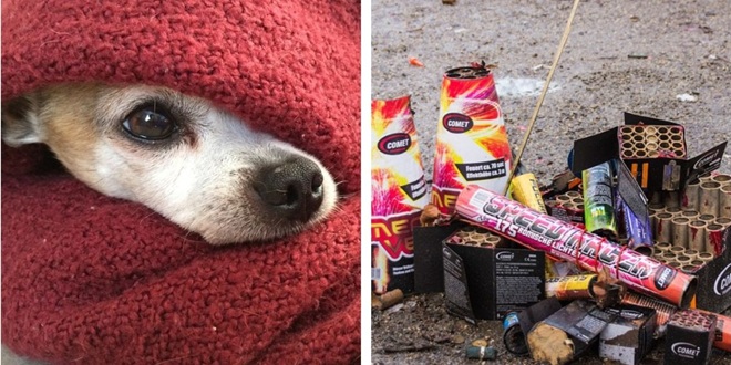 PRIJATELJI ŽIVOTINJA: Hrvatska mora hitno zabraniti dane bučne pirotehnike!